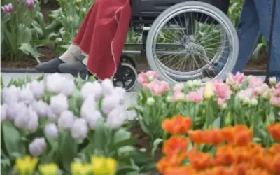 La Prestation de Compensation du Handicap (PCH) ?